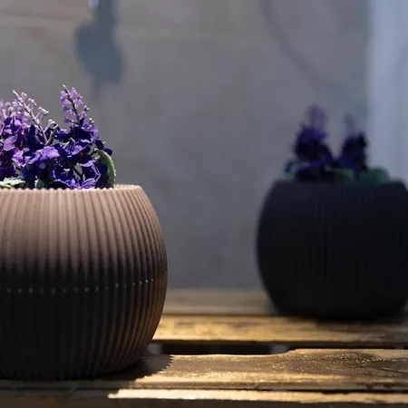 Salutamu 3* Locogrande